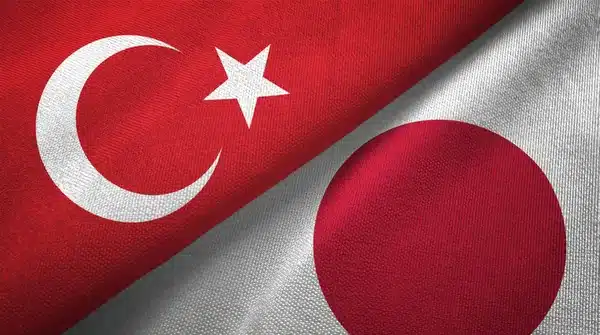 Japonca Katalog, Broşür, Kullanma Kılavuzu Japonca Türkçe Çeviri